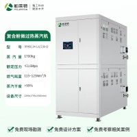 復合艙微過熱蒸汽發(fā)生器（1.7噸）