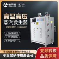 帕萊頓電加熱（6kw-18kw）蒸汽發(fā)生器