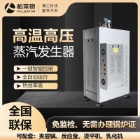 帕萊頓電加熱（24kw-36kw）蒸汽發(fā)生器