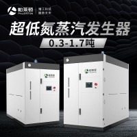 電鍍化工用燃?xì)庹羝l(fā)生器超低氮環(huán)保穩(wěn)壓安全工業(yè)節(jié)能鍋爐