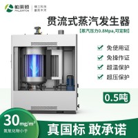 燃?xì)庹羝l(fā)生器貫流式天然氣鍋爐工業(yè)免辦證1T液 化氣蒸發(fā)器