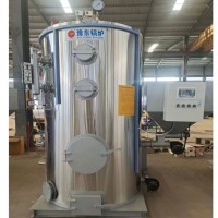 生物質(zhì)燃油汽蒸汽發(fā)生器