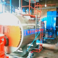 生物質(zhì)氣兩用鍋爐