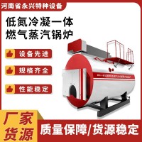 WNS高效一體冷凝燃?xì)庹羝仩t