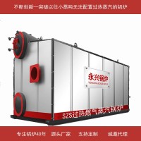 低氮環(huán)保廠家提供終身服務(wù)全國聯(lián)保超低氮排放燃?xì)庑驼羝仩t
