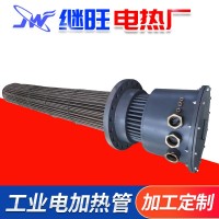 廠家定制氨氣加熱器 防爆加熱器 熔鹽加熱器 導(dǎo)熱油加熱器