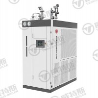 500KG燃氣蒸汽發(fā)生器