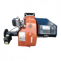 4噸 低氮 BH-QEF-3.0-2E
