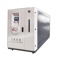 力威燃氣蒸汽發(fā)生器