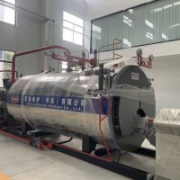 雷能鍋爐低氮燃?xì)庹羝仩t1噸