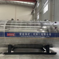 雷能鍋爐低氮燃?xì)庹羝仩t0.5噸